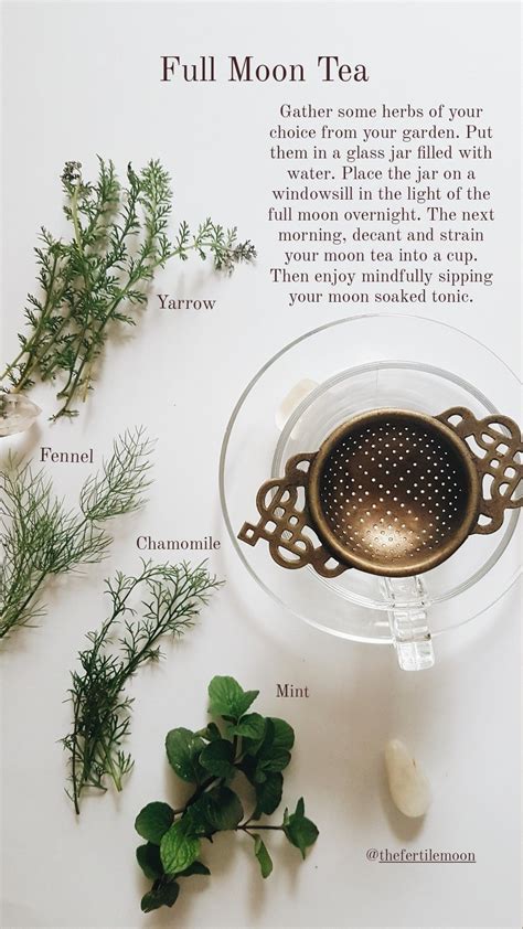 Lunar Tea: A Drink for Connection and Balance